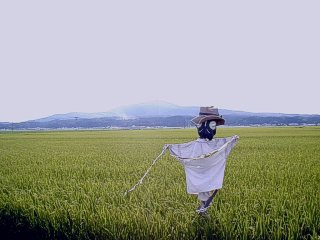 寒風山と案山子