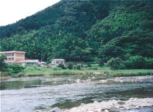 オシドリ観察小屋から